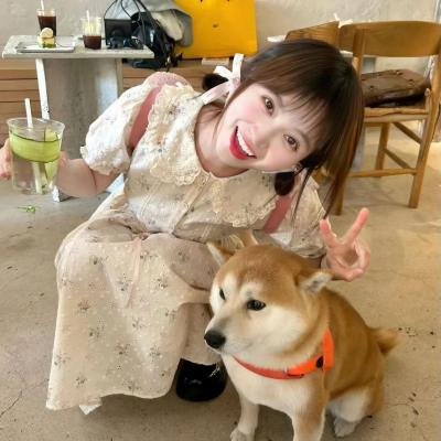 米奇的捕鼠器