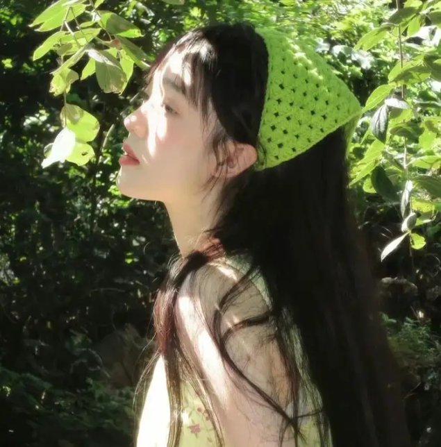 双生赤狐